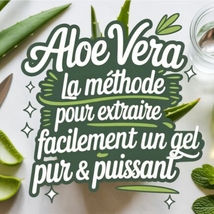 extraction gel aloe vera méthode